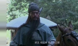 在线观看关公,探寻忠义精神的现代传承